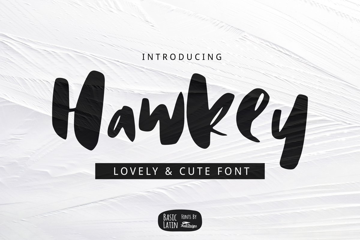 Hawkey Brush Font example image 1