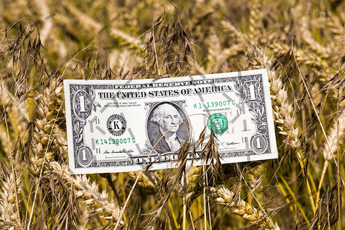 dollar banknote example image 1