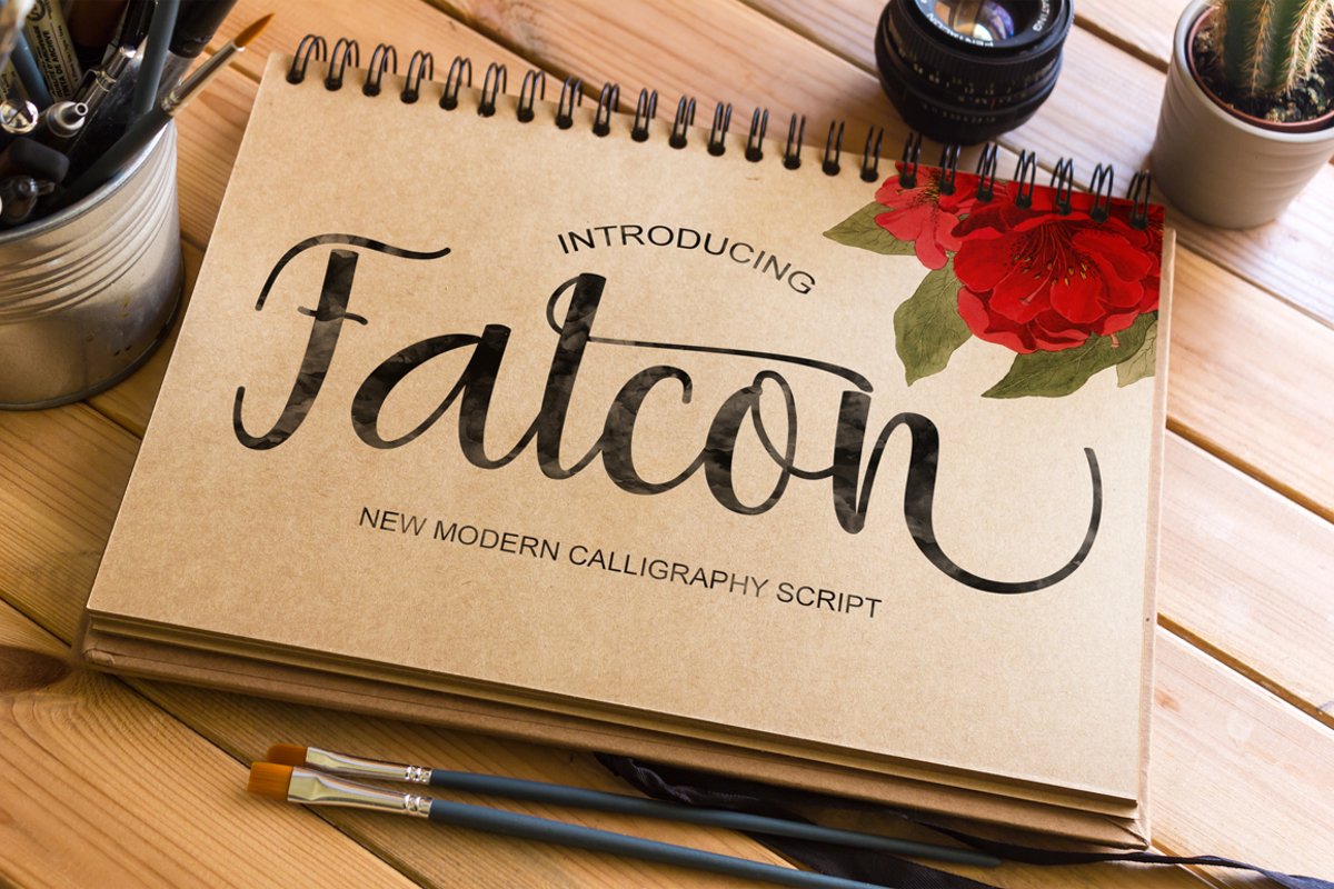 Falcon example image 1