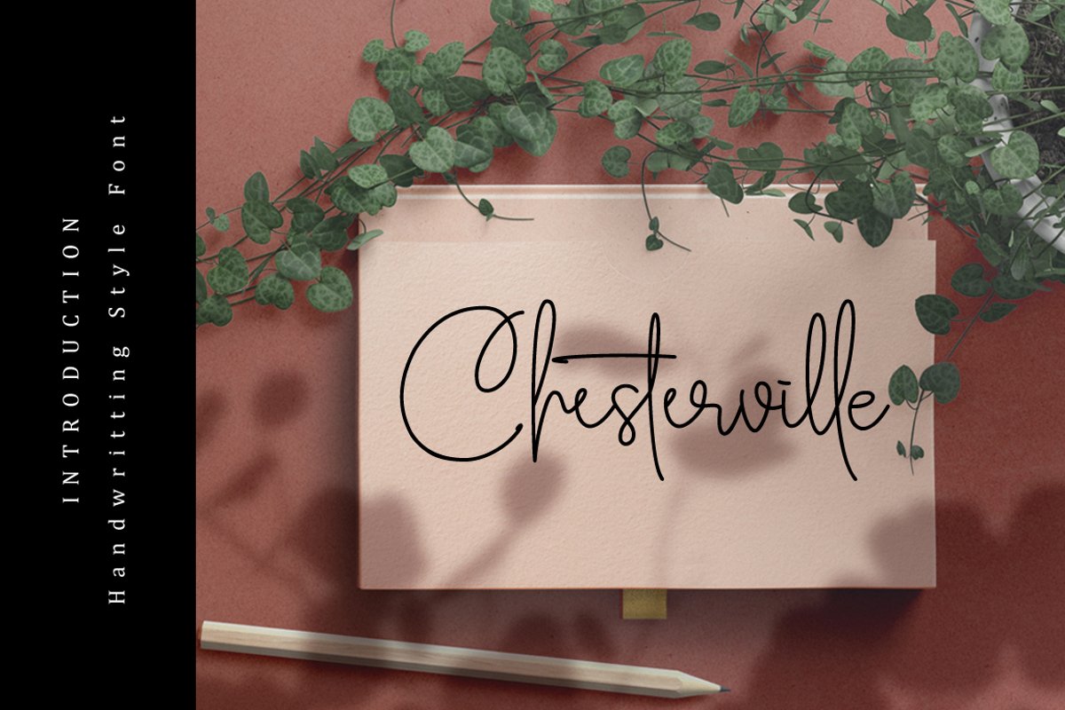 CHESTERVILLE example image 1