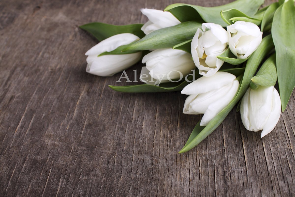White tulips on a wooden background example image 1