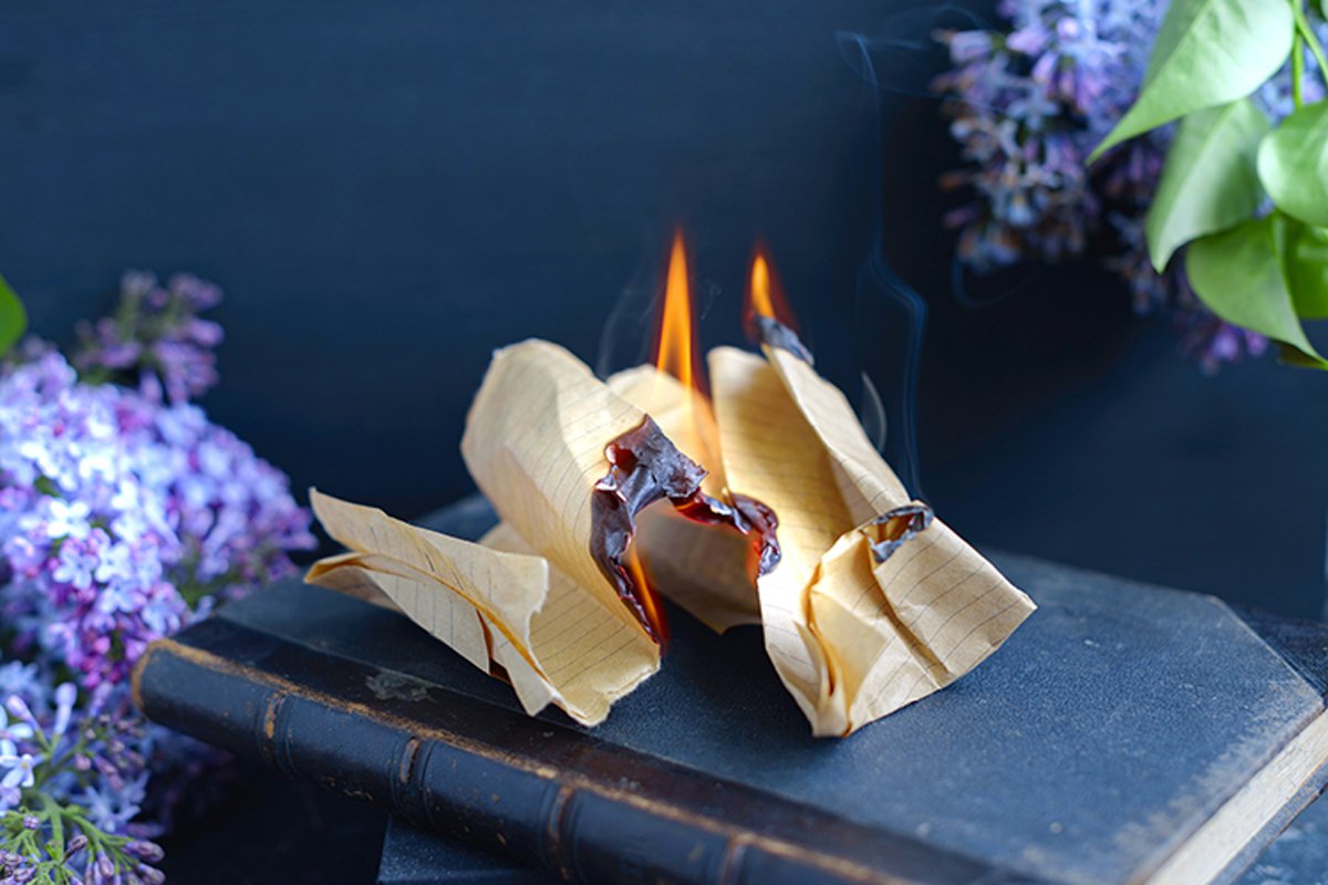 book is burning example image 1