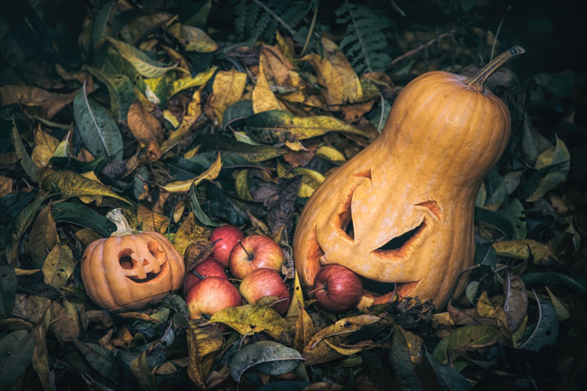 Halloween Pumpkin Jack O'Lantern example image 1