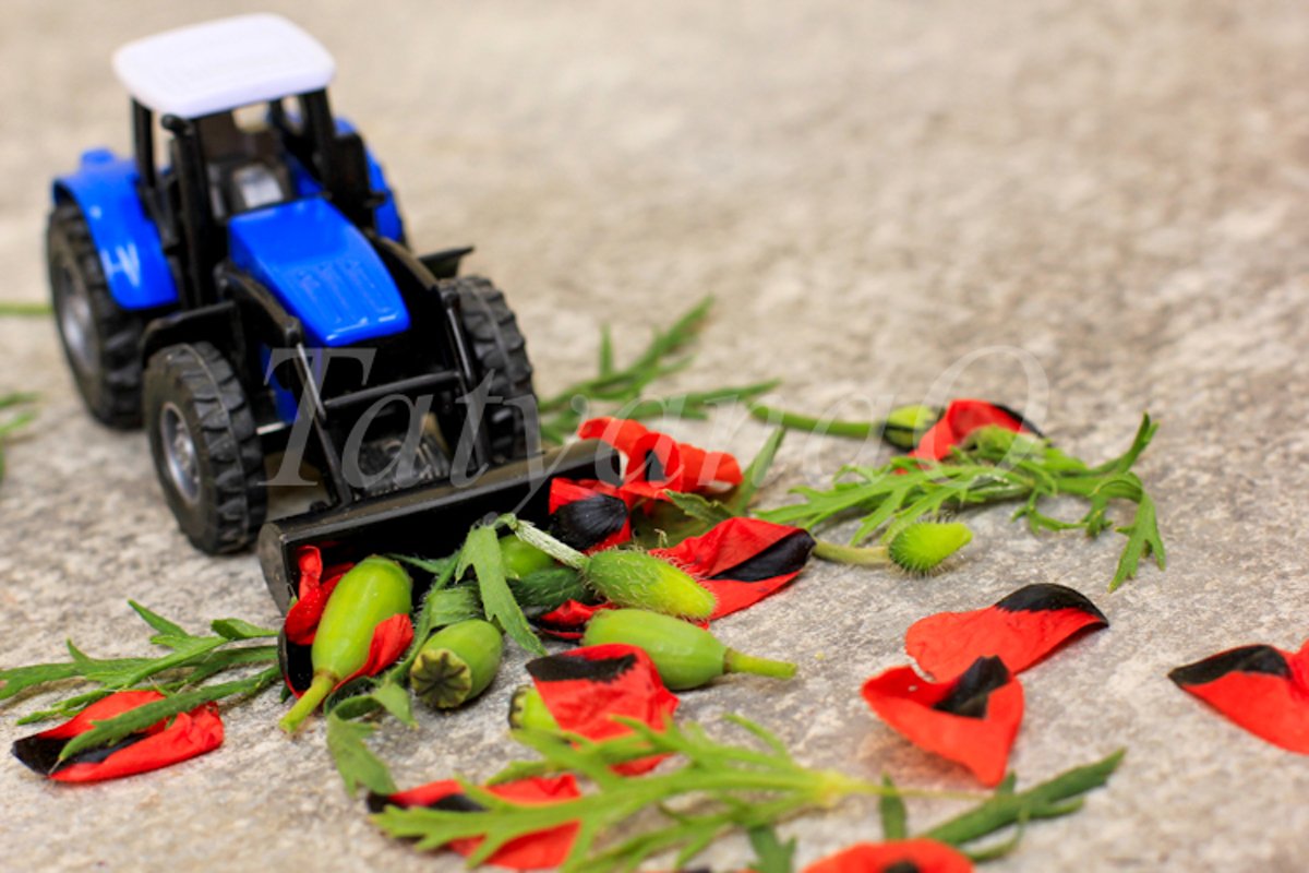 Toy tractor, excavator removing red poppies, corn poppy. example image 1