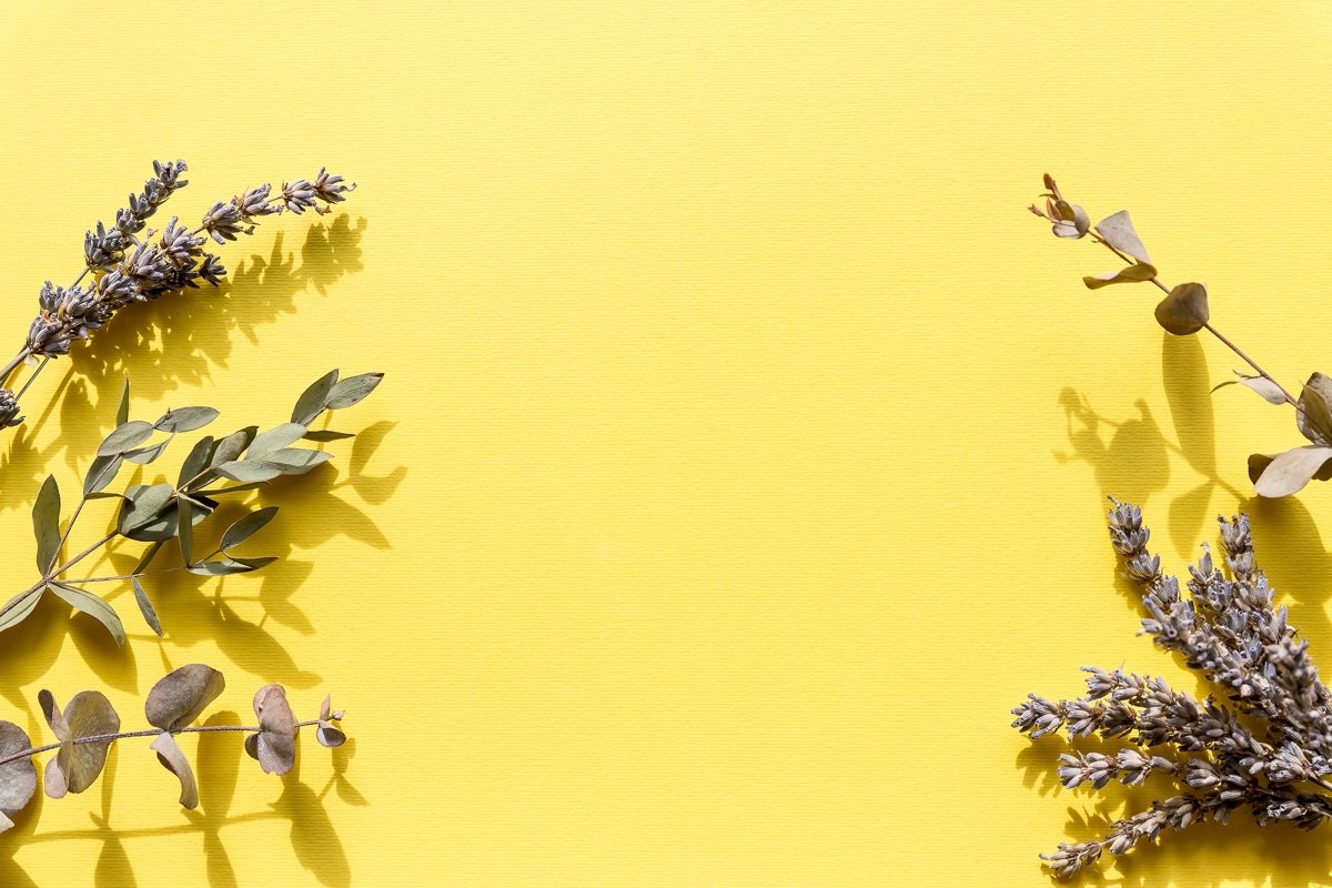 herbal dry plants, flowers example image 1