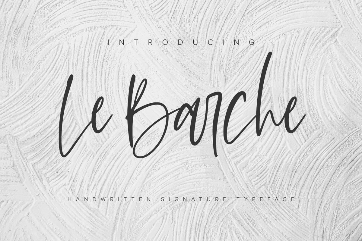 Le Barche - Chic Handwritten Font example image 1
