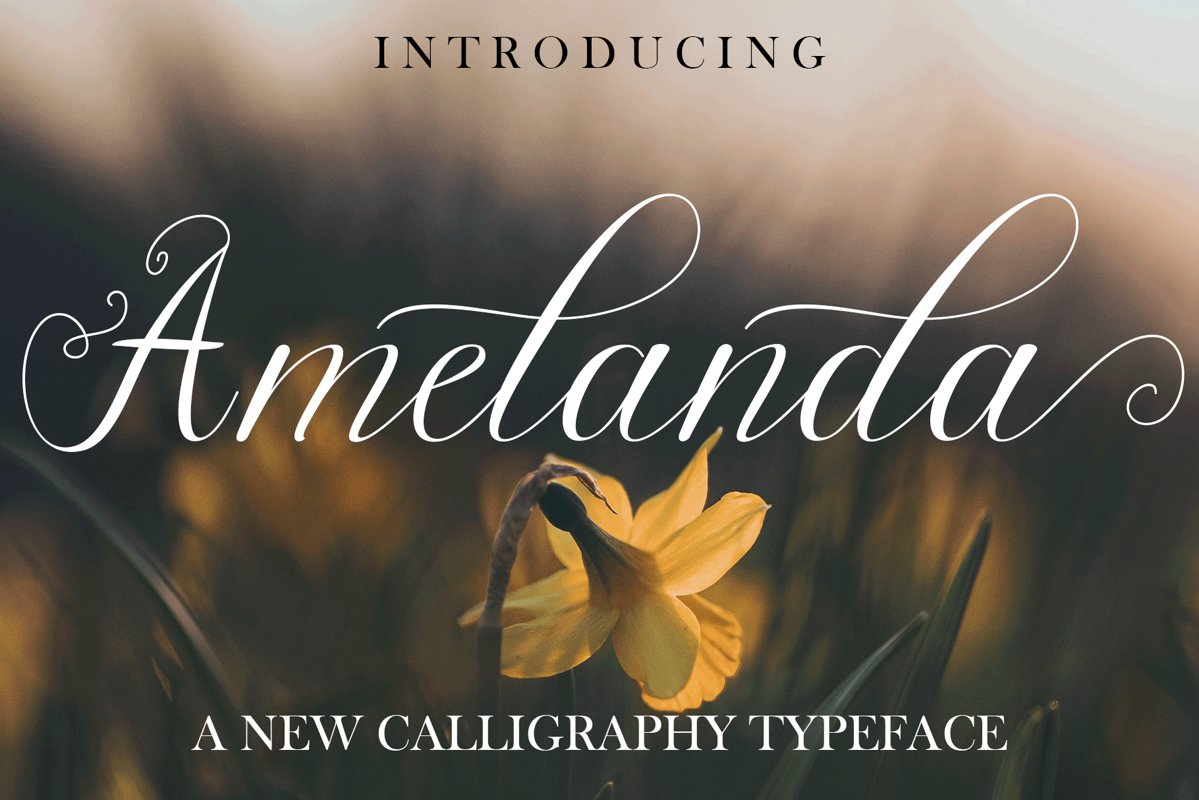 Amelanda example image 1