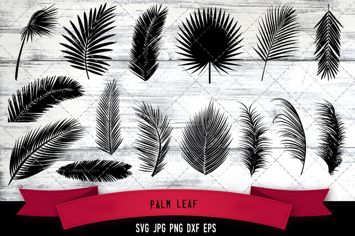Palm Leaf Cut File Svg Cut Files Design Bundles