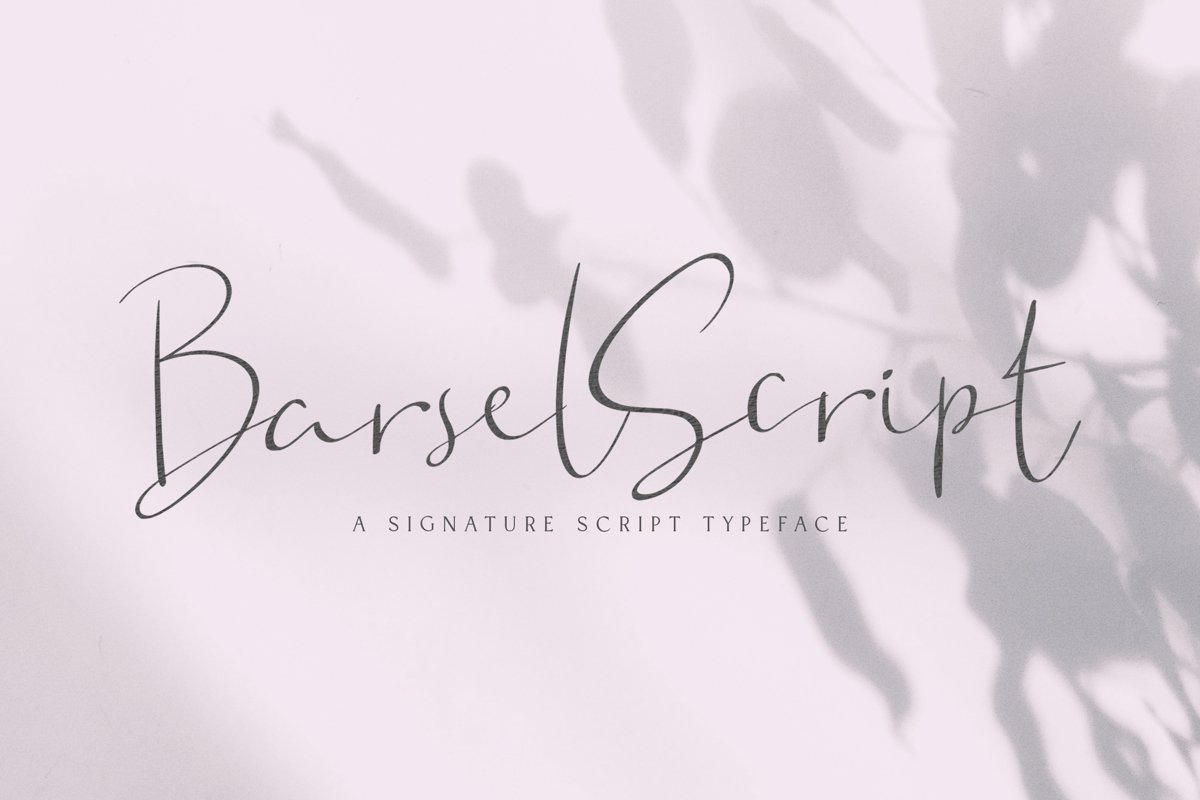Barsel example image 1