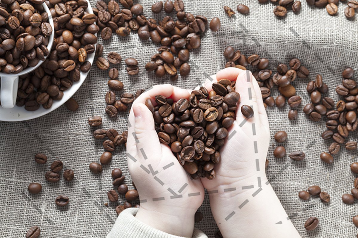 coffee grain example image 1