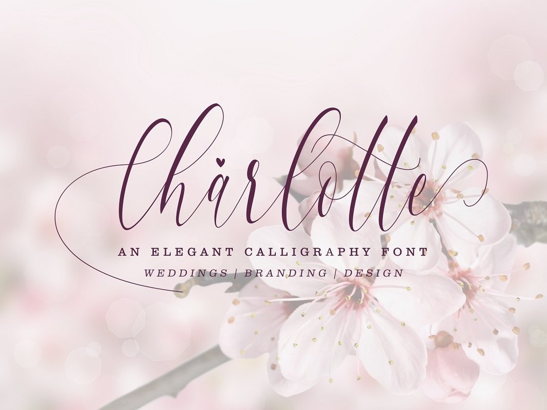 Charlotte Calligraphy Font example image 1