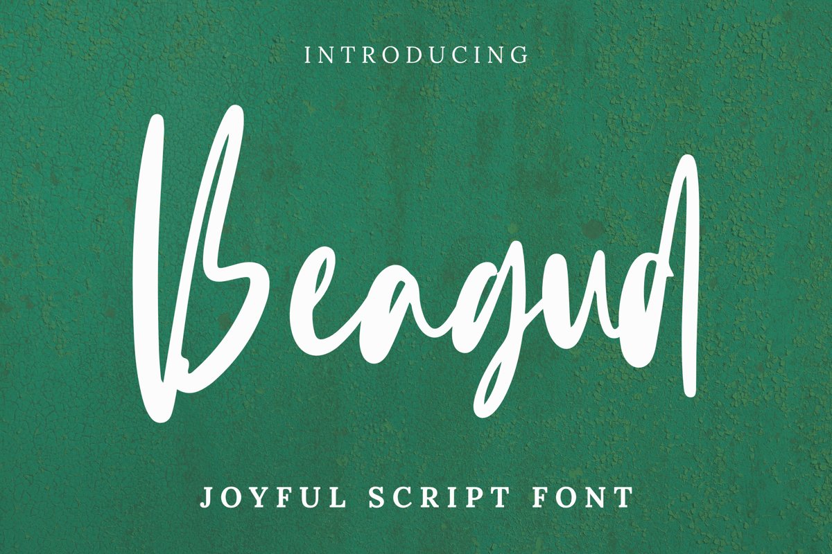 Beagud Font example image 1