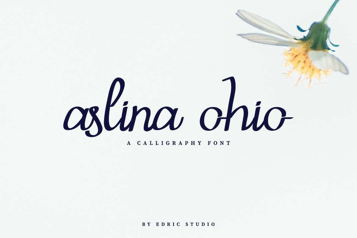 Aslina Ohio example image 1