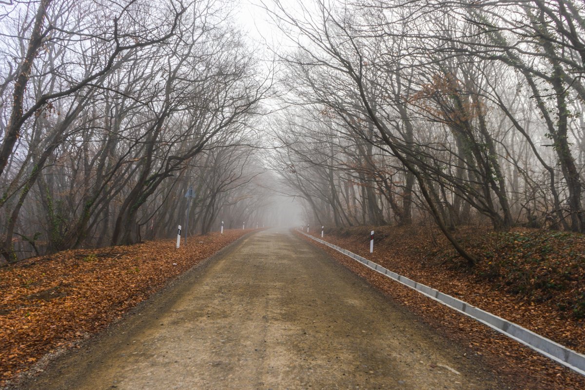 Road in the misty autumnal forest example image 1
