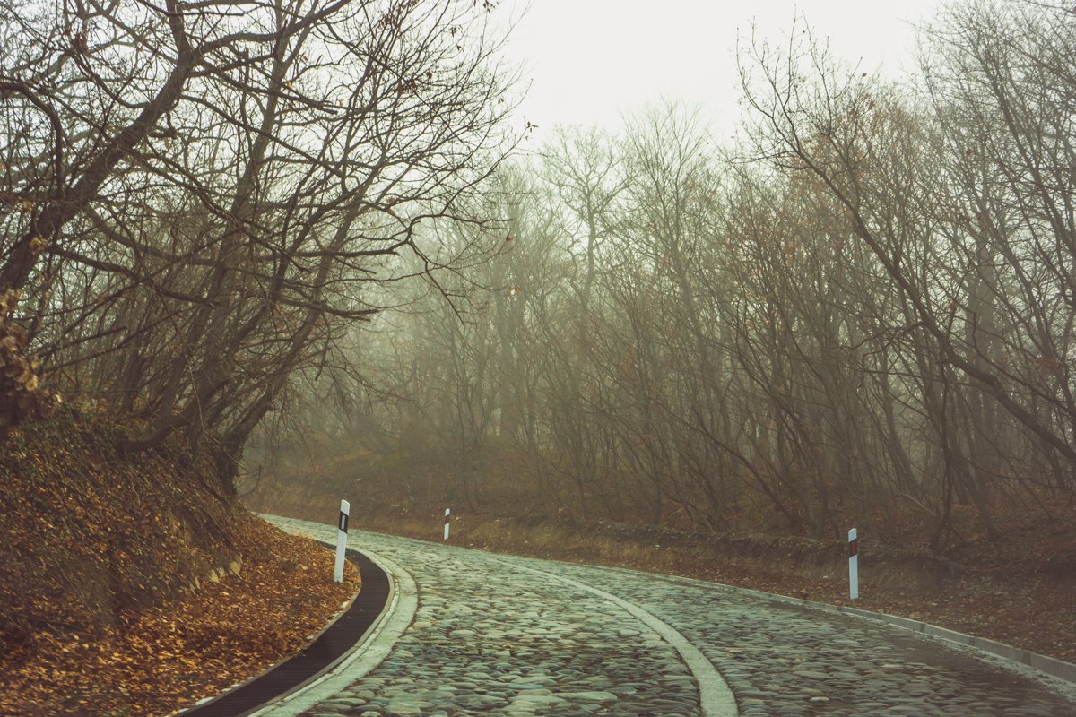 Road in the misty autumnal forest example image 1