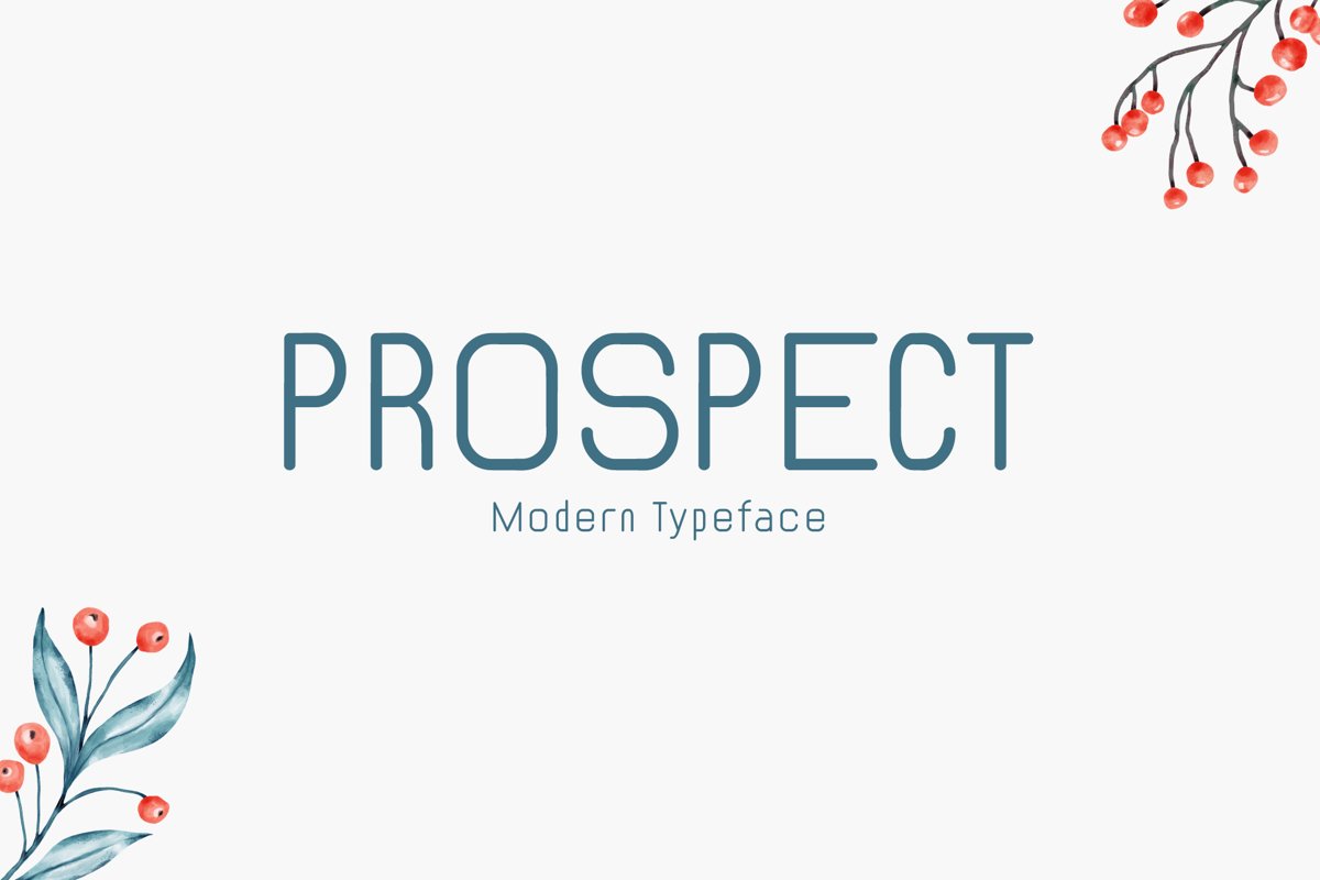 Prospect example image 1
