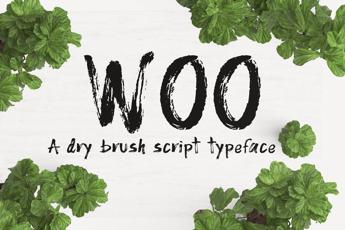 WOO Dry Brush Script Typeface example image 1