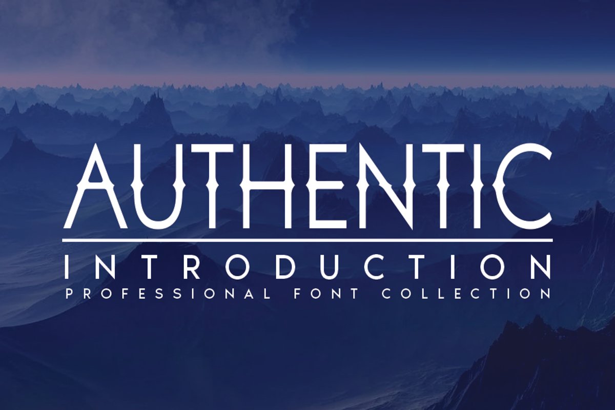 AUTHENTIC example image 1