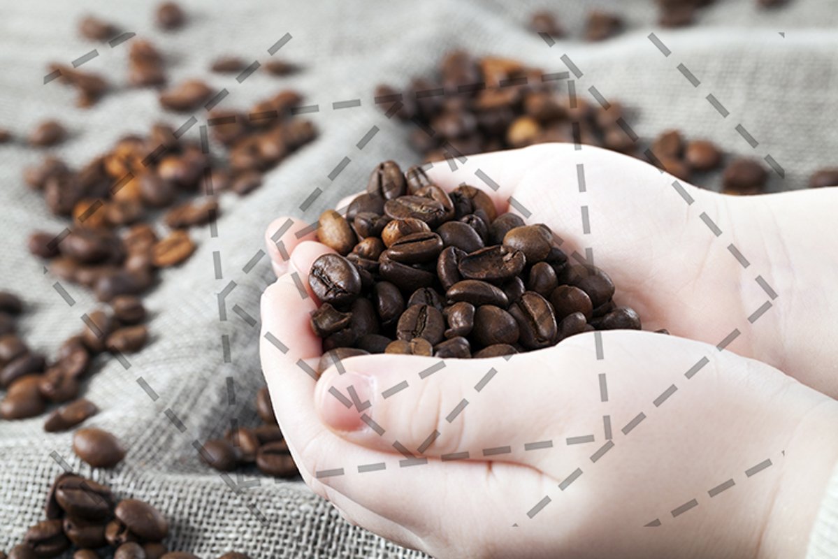 fragrant coffee grains example image 1