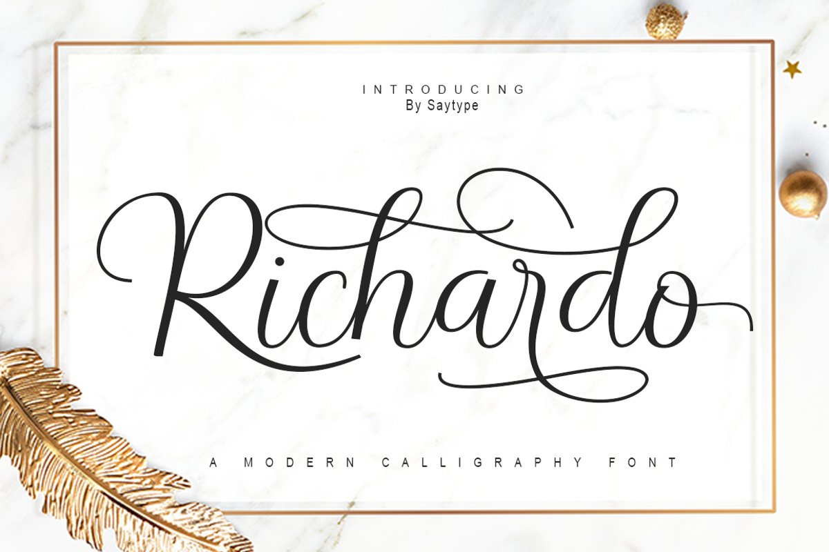 Richardo Script example image 1