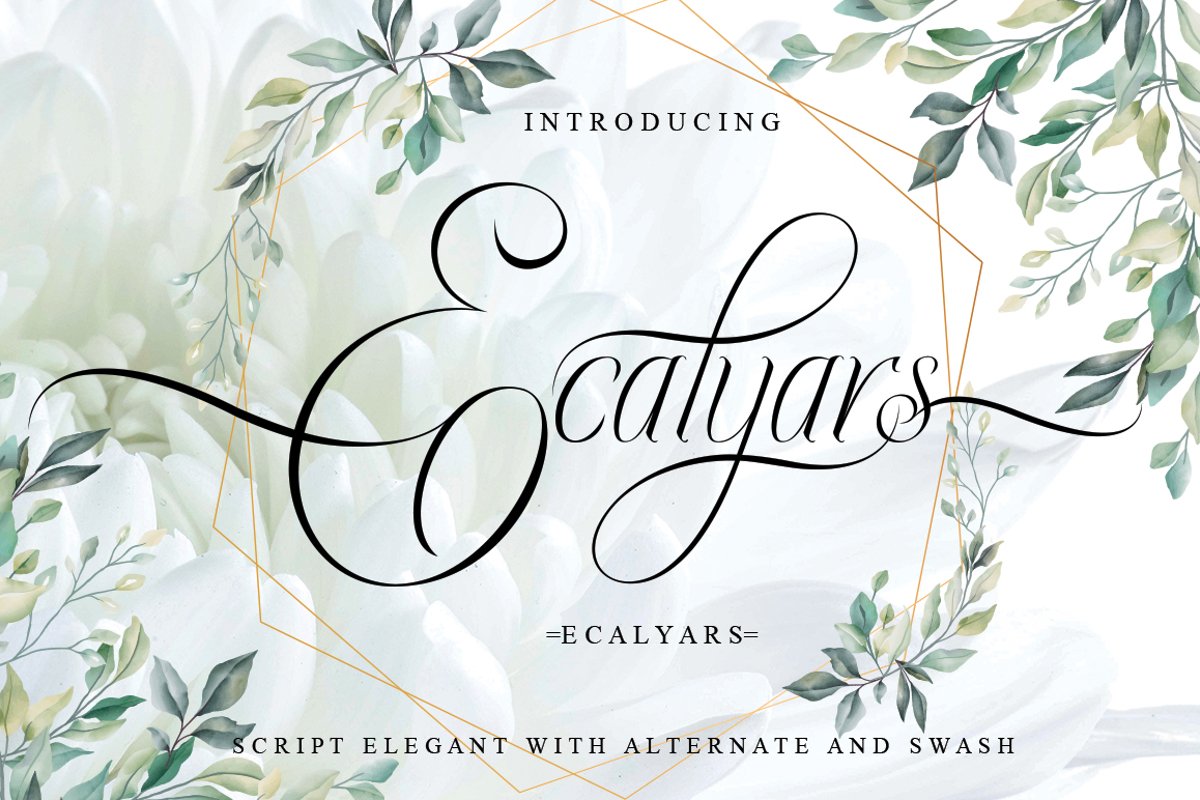 Ecalyars example image 1