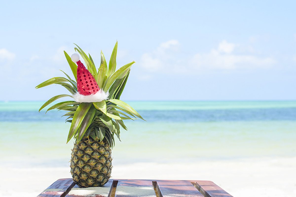 pineapple in Santa's hat example image 1