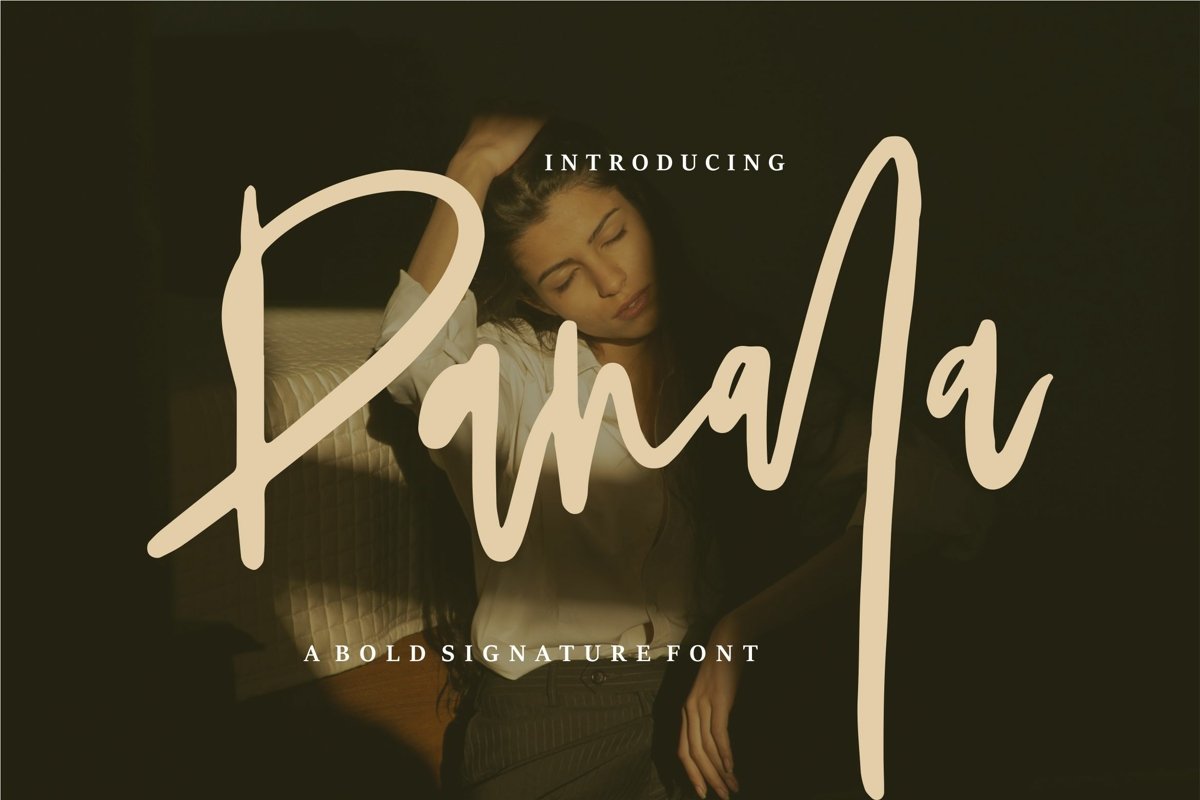 Panala - A Bold Signature Font example image 1
