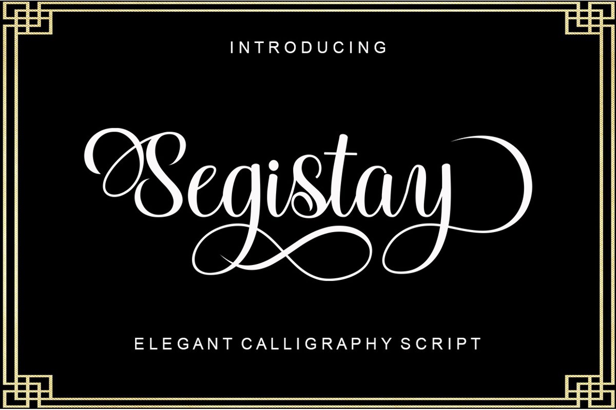Segistay script example image 1
