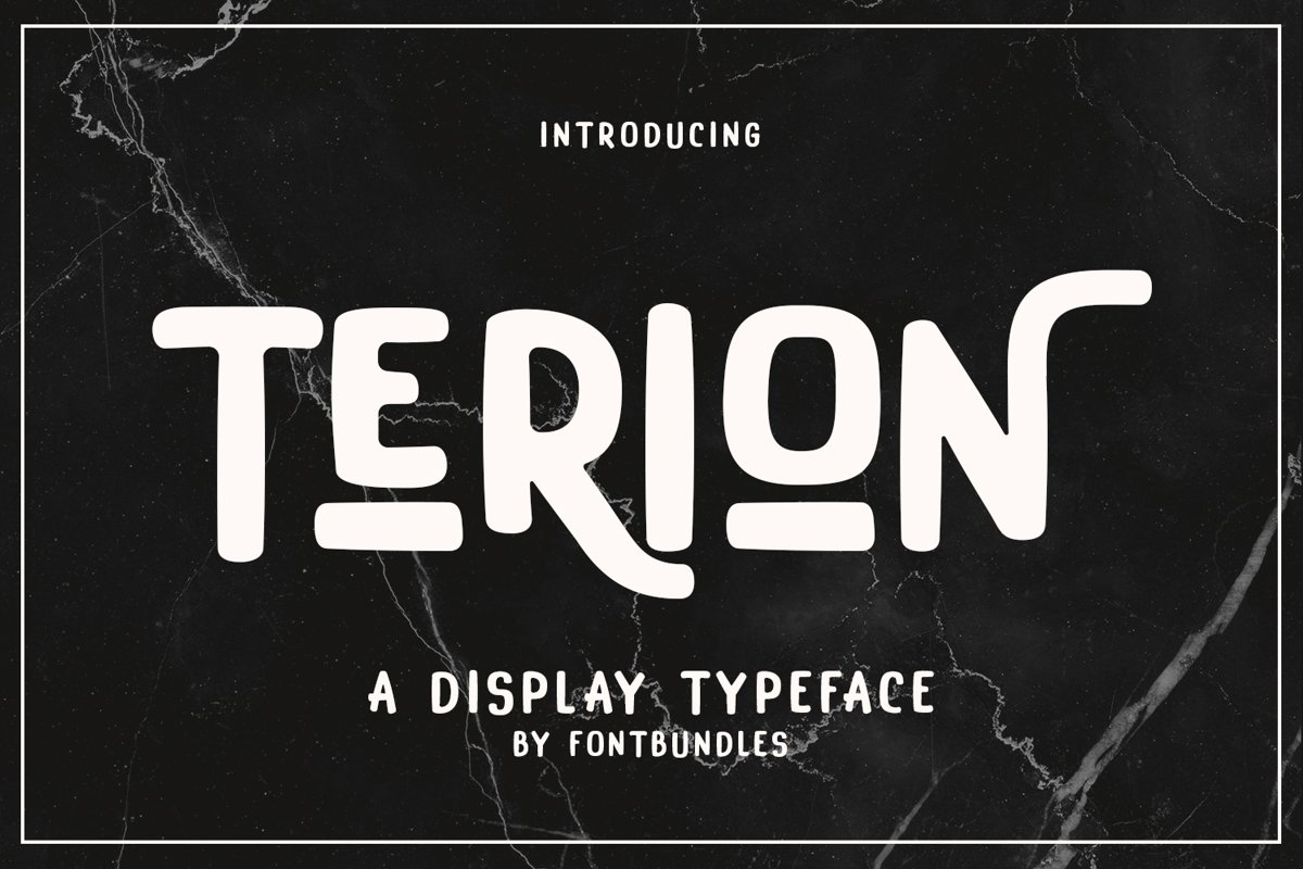 Terion example image 1