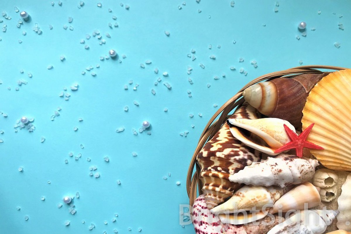 Seashells in a basket on turquoise background example image 1