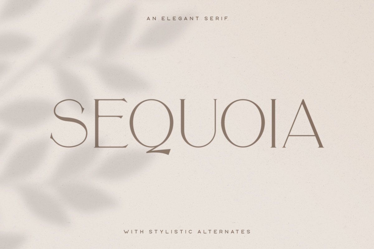 Sequoia Typeface example image 1