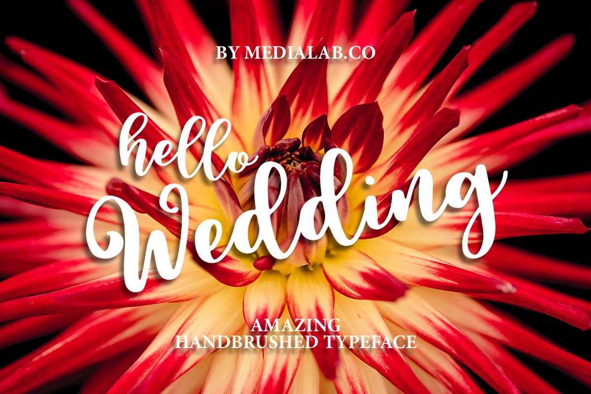 Hello Wedding example image 1