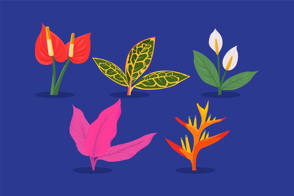 Flat Tropical Plants Vector example image 1