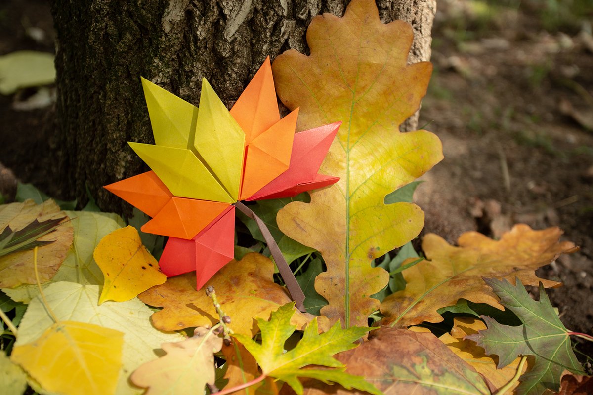 Autumn concept background traditional paper craft handmade example image 1