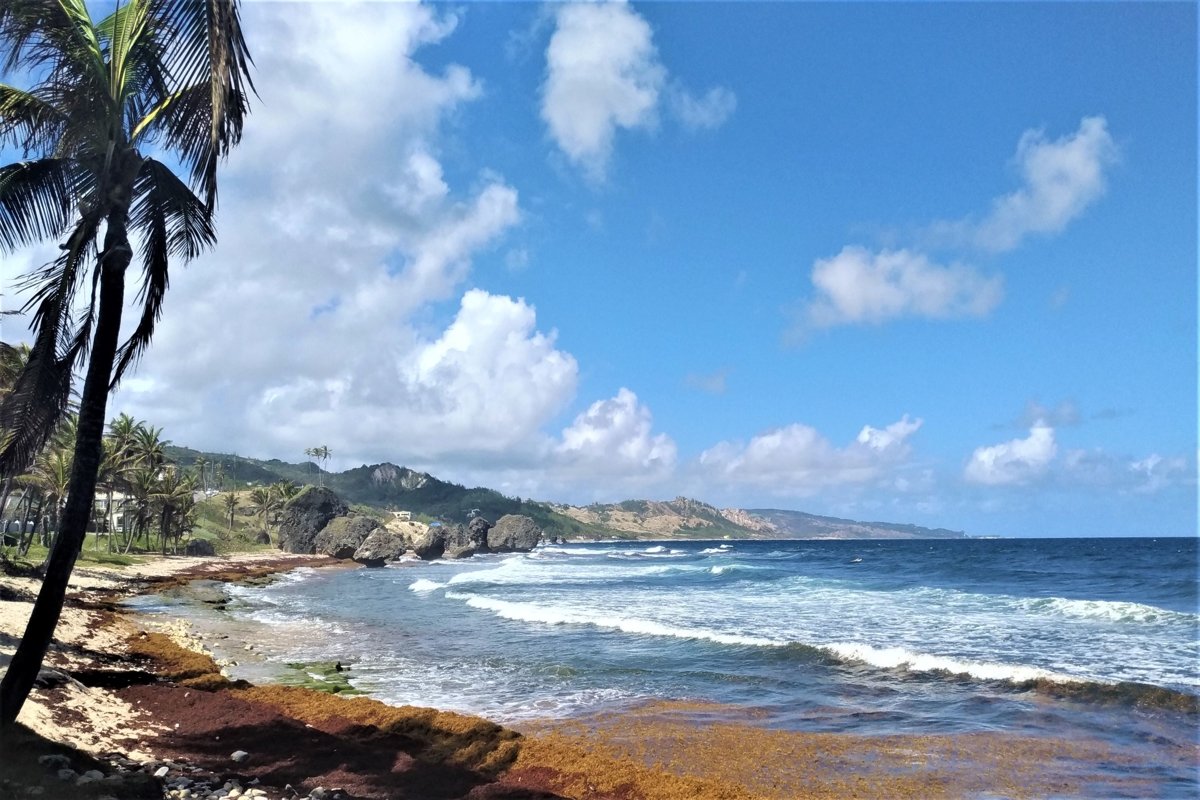 Incredible travel photos from around Barbados, the Caribbean example image 1