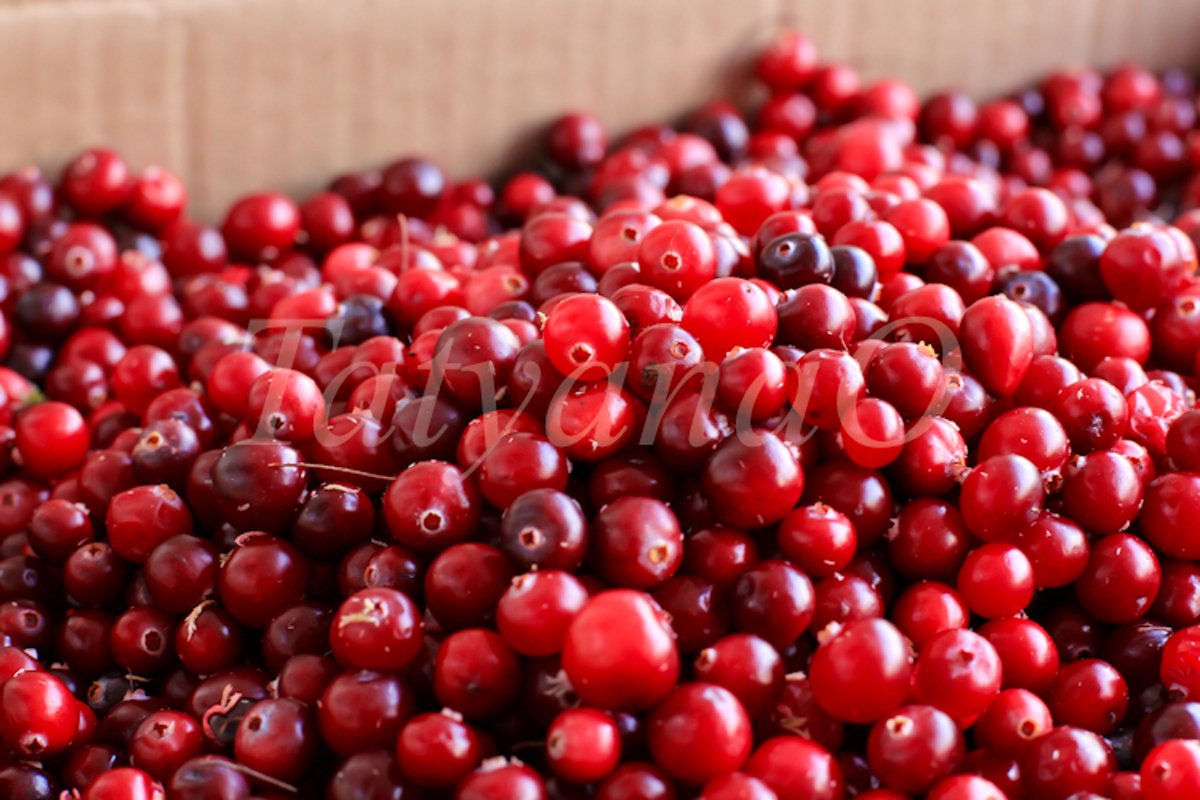 Cranberries background example image 1
