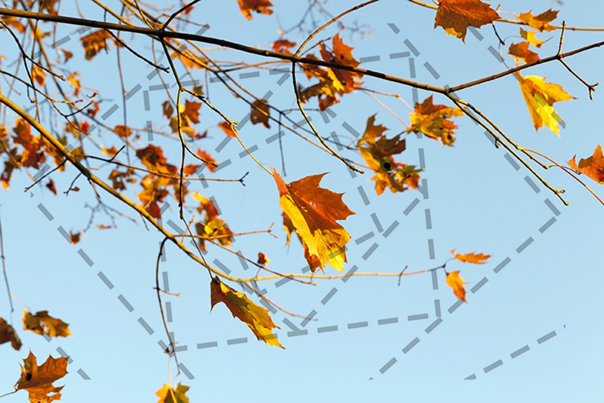 autumn foliage example image 1