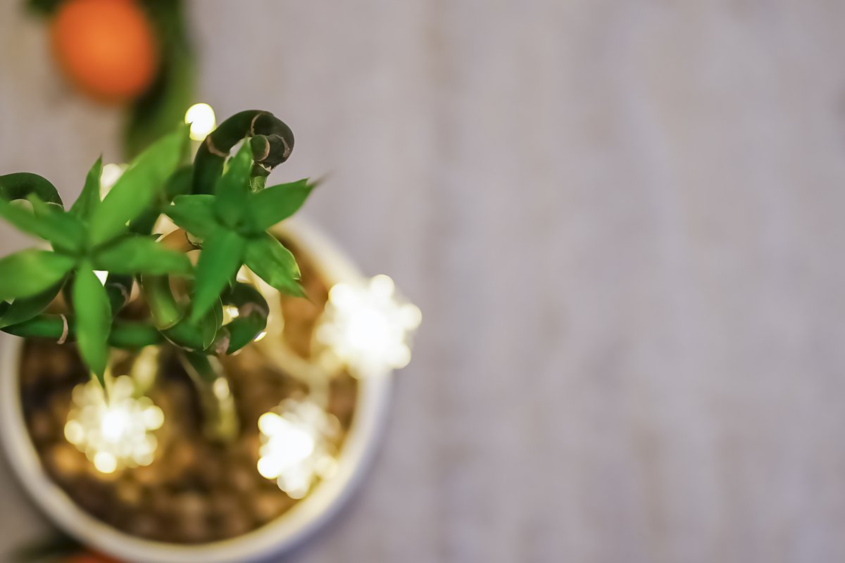 Christmas background. Postcard with mandarin, lights example image 1