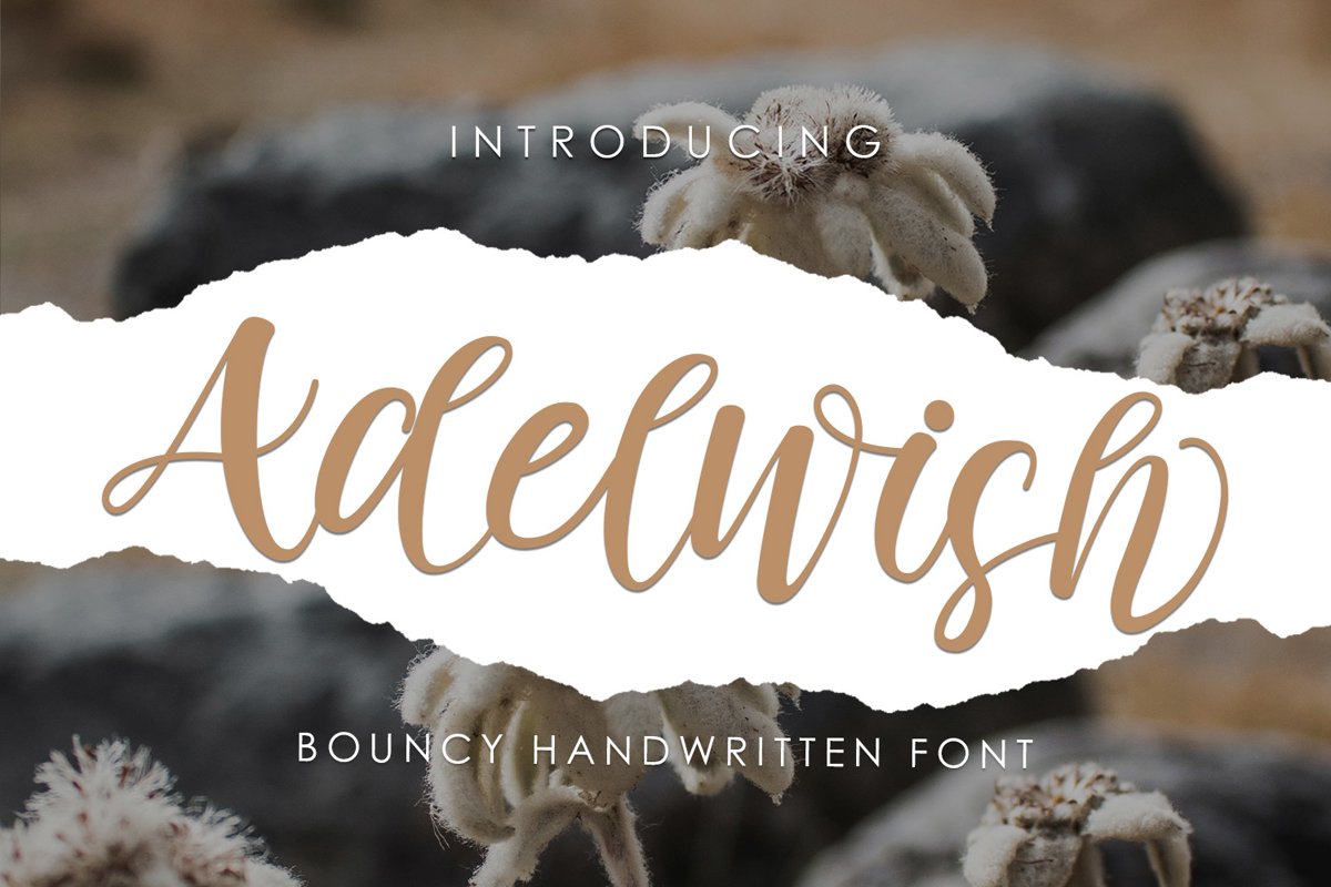 Adelwish Handwritten Font example image 1