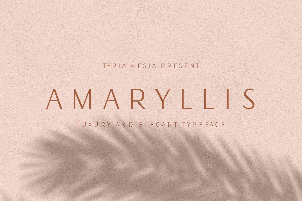 Amaryllis Sans example image 1