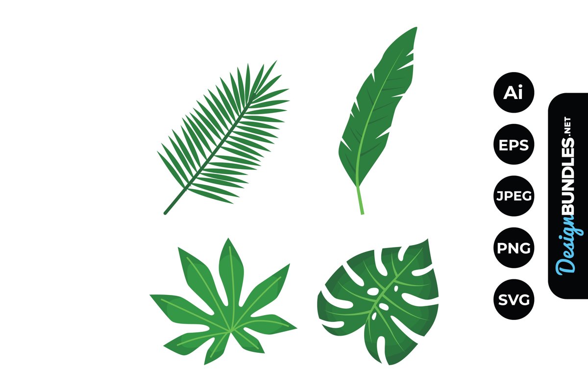 Tropical Leaves Illustrations example image 1