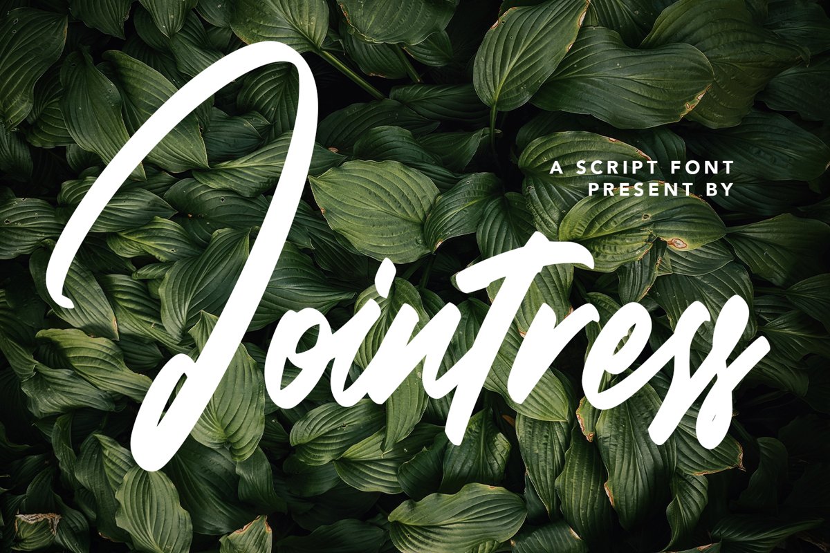 Jointress - Script Font example image 1