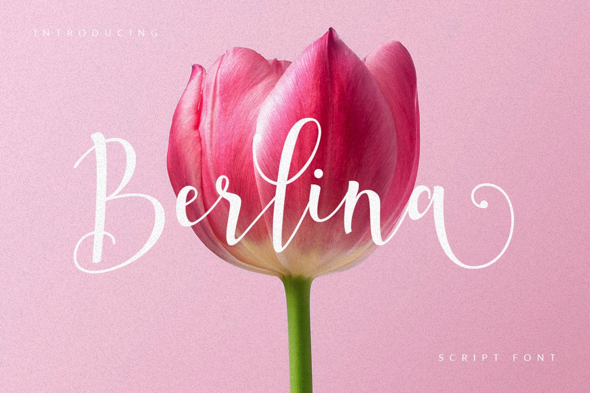 Berlina Script example image 1