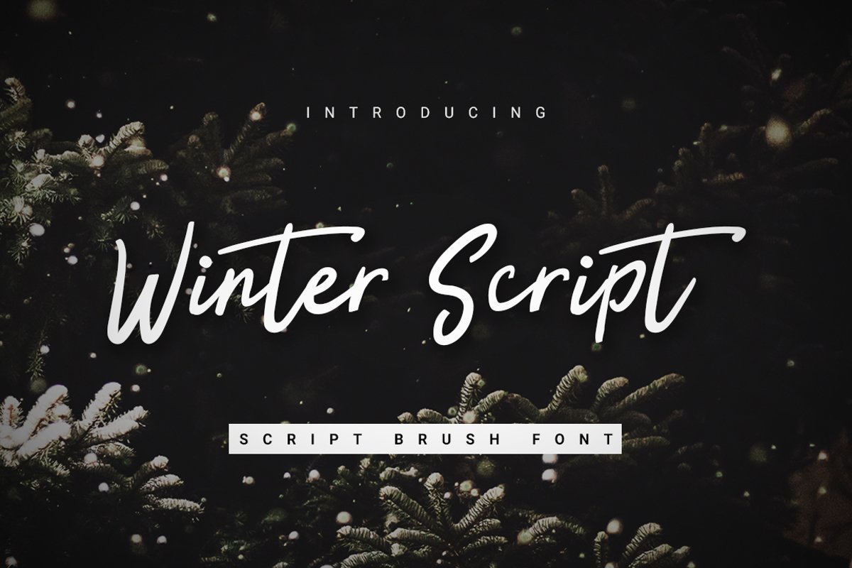 Winter Script example image 1