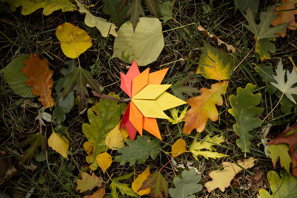 Autumn concept background traditional paper craft handmade example image 1
