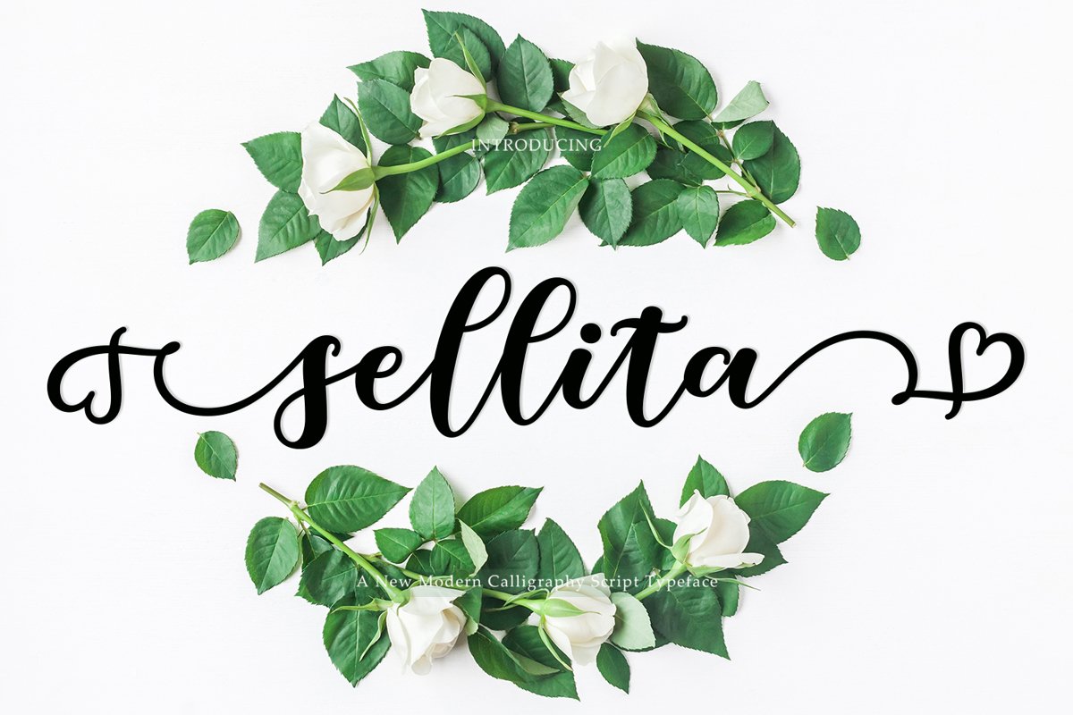 Beautiful New Sellita Script font example image 1