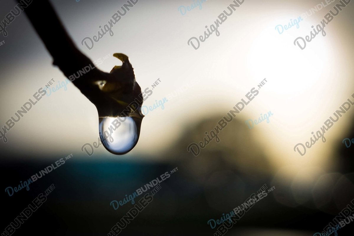 Stock Photo - water droplets example image 1