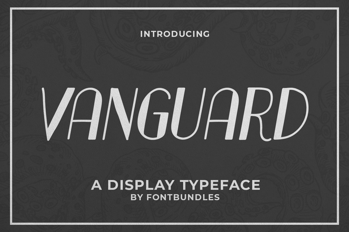 Vanguard example image 1