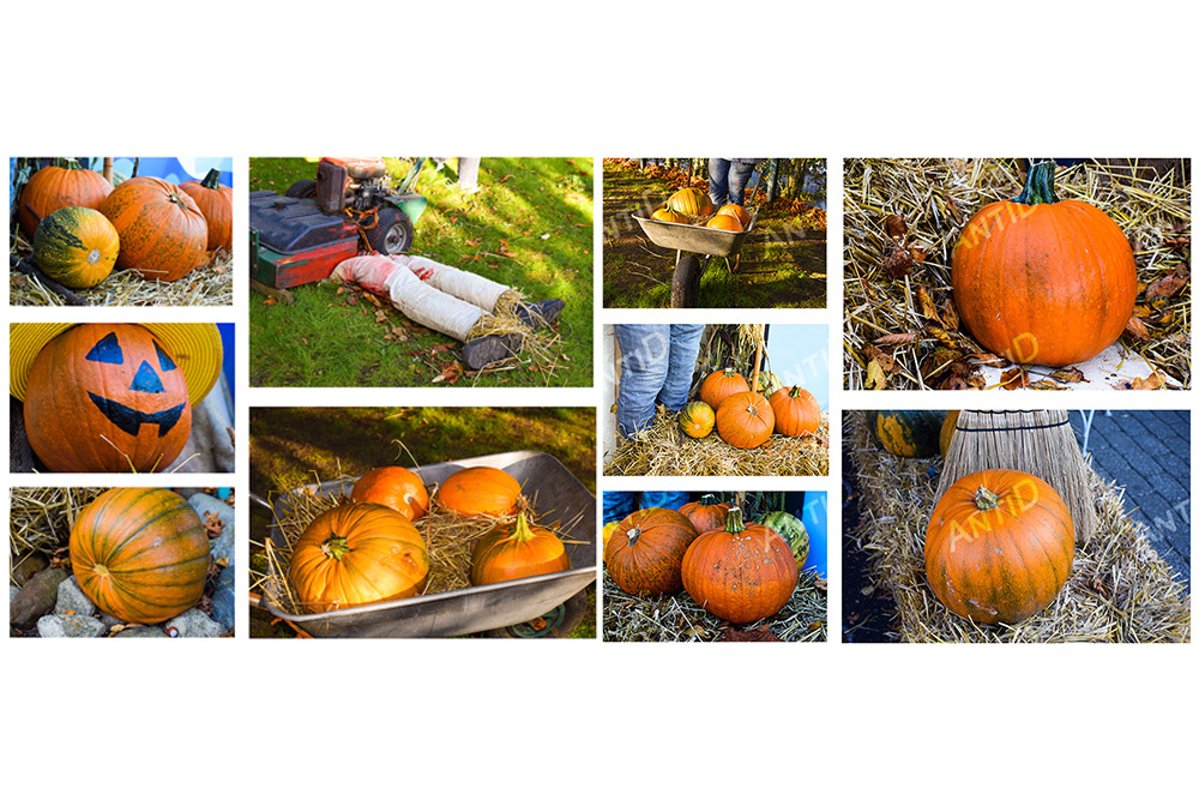 Set of 10 images. Festive composition for Halloween. example image 1