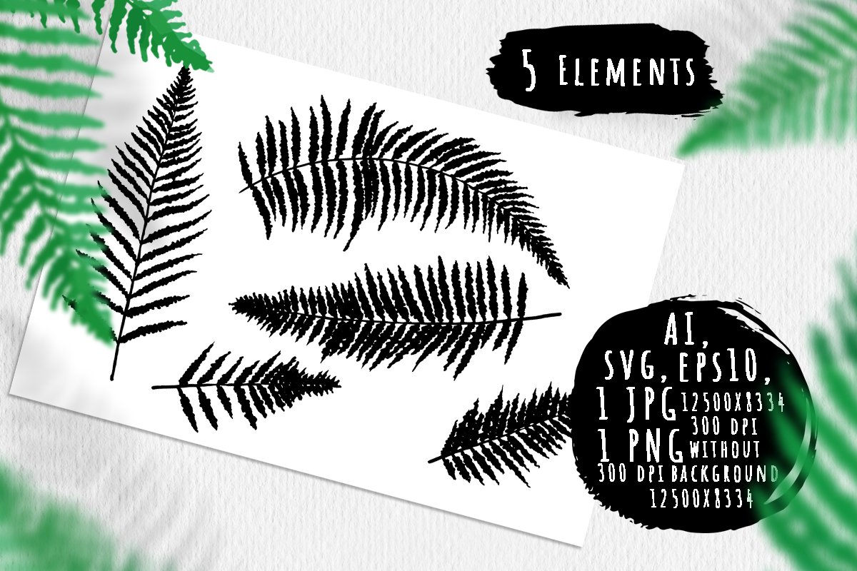 Fern leaves silhouettes bundle example image 1
